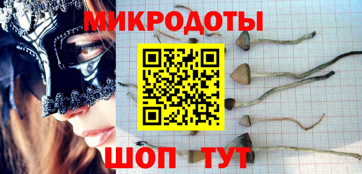 Галлюциногенные грибы MAGIC MUSHROOMS  Вход с VPN  Медногорск 