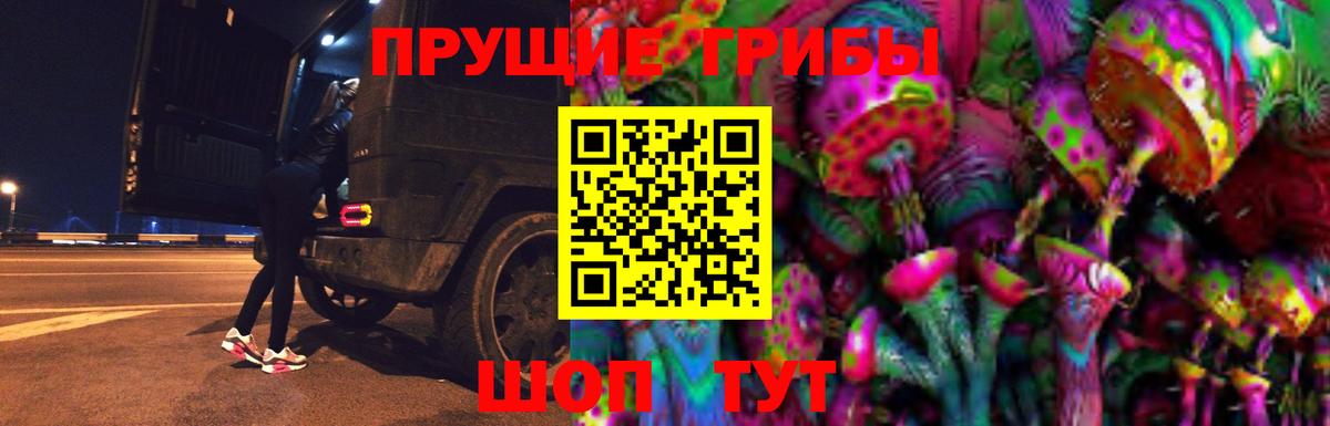Галлюциногенные грибы Cubensis Медногорск